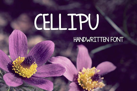 How Cellipu Elevated My Brand's Visual Identity