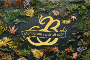 Monogram Swsh: A Stylish Display Font for Crafters