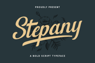 Stepany: A Natural Display Font for Web Design