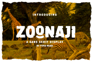 Zoonaji: A Playful Display Font for Web Design